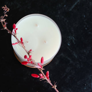 3 Wick Jar Candle - Multiple Scents